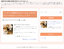 Tablet Screenshot of chudak.info